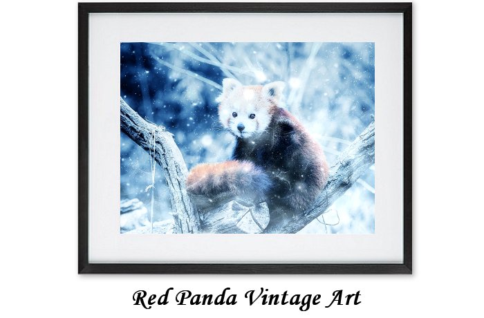 Red Panda Vintage Art